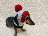 Hat for dog with pompom and holes for the ears