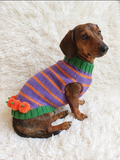 Pumpkin Halloween Clothes for Pets - Dog and Cat Pumpkin Sweater - Halloween Outfit Dachshund Pumpkin Costume