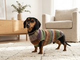 Size L Warm coat for dachshund puppy or small dog, knitted jumper for puppy dachshund, dachshund puppy clothes, wool sweater for small dog