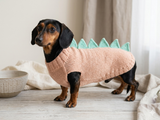 Dachshund Halloween Dinosaur Outfit Costume Sweater and Hat-dino pet cloches jamper