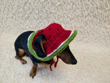 Watermelon Dog Bucket Hat, summer panama cap with open ears dachshund, pet clothes photo shoot gift dog's mom