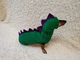 Matching Dog Sweater and Hat – Adorable Dinosaur Pet Apparel