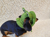 Frog Dog Bucket Hat, summer panama cap with open ears dachshund, pet clothes photo shoot gift dog's mom