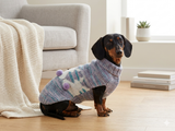 Sweater with rabbit with pompom for dog, Easter sweater with rabbit for dachshund