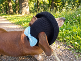Summer knitted Panama for a dog black with a gray bow, panama for dachshund