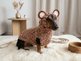 Вear hoodie for dog aran melange cable suit with ears for dachshund