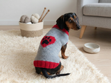 Clothes for a dachshund or small dog knitted winter wool warm jumper with a pattern