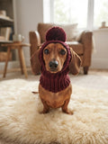 22 color Dachshund Snood for Ears Out, Cozy Dog Hat with Pom, Crochet Puppy Beanie, Winter Pet Clothing, Cute Dog Outfit, Custom Dog Gift