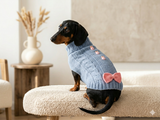 Easter clothes with bunny rabbit for pet sweater with arans and bow for dog with bunnies