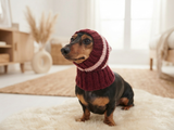 Mohair Wool Super Warm Dog Hat , Designer Pet Party Clothes outfit, Winter cloches knitted Dachshund Beanie