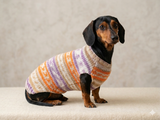 Bright sweater for a petite dachshund, Dachshund Sweater, Dog Clothes, Dog sweater, Dachshund clothes, Wiener dog clothes, Winter dog sweater