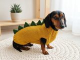 Dinosaur dragon  dog sweater zoo animal dog clothes