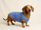100% handmade sweater for small dog