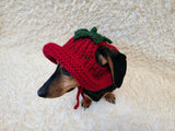 Strawberry Panama Dog Hat Summer Open Ear Hat for Dachshund Pet Clothes Photo Shoot Gift for Dog Mom
