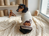 Clothes for a dachshund or small dog knitted winter wool warm jumper with a pattern
