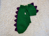 Matching Dog Sweater and Hat – Adorable Dinosaur Pet Apparel