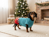 Christmas red sweater with deer for dachshund dog, Christmas dog jumper, christmas dog clothes