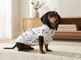 White jumper with black and white flowers for dachshund, Sweater with flowers and butterflies for miniature dachshund or small dog