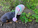 Knitted Dog Snood Hat with Pom Pom – Warm Winter Puppy Beanie & Dachshund Clothes