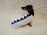 Funny Dinosaur Dog Sweater – Handmade Crochet Pet Clothing