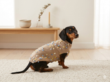 Jumper with flowers for a mini dachshund,Sweater with flowers and butterflies for miniature dachshund or small dog.