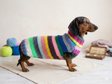 Multi color pet clothes striped dog sweater