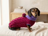 Cozy Dachshund Sweater, Hand Knit Cable Jumper for Doxie, Winter Wiener Dog Clothes, Custom Pet Apparel, Magenta Purple Knitwear for Dogs