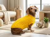 Yellow knitted sweater for dachshund or small dog
