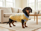 Floral Knit Dachshund Sweater | Cute Yellow Dog Clothes with Beads