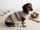 Rainbow sweater for a dachshund or small dog