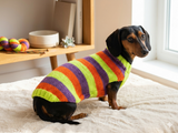 Striped jumper for dogs, sweater for dachshund or small dog.