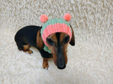 Double Pom Pom Dog Hat, Hand Knitted Winter Dog Beanie, Warm Wool Dog Snood for Small Dogs