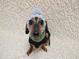 Cute Hand-Knitted Dachshund Snood and Pom-Pom Beanie Set - Cozy Dog Hat and Neck Warmer