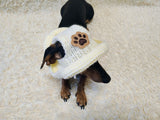 Paw dog hat Summer sun with holes for ears. Hand knitted sun cap dachshund. Stylish Pet Photo Props and Gift Dog Moms