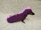 Cute Dino Dog Outfit – Personalized Handcrafted Dog Sweater Set