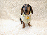 Handmade Cable Knit Dachshund Sweater | Warm Dog Clothes)