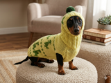 Dinosaur Costume for Dog Jumper and Pompom Hat Set