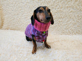 Original dog sweater with arans and pom-poms Rainbow melange dog sweater with cable knit, warm knitted winter dachshund outfit pet clothes