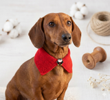Christmas dog or cat collar