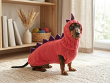 Dinosaur Dragon Costume Sweater and Hat Zoo Animal Clothes