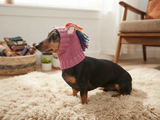 Handmade Knitted Unicorn Dog Snood with Rainbow Mane & Ears