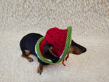 Watermelon Dog Bucket Hat, summer panama cap with open ears dachshund, pet clothes photo shoot gift dog's mom