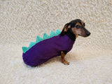 Knitted Dinosaur Costume for Dogs - Custom Dachshund Sweater