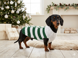 Christmas striped sweater with fir trees and snowflakes for miniature dachshund