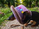 Summer hat panama from the sun with flowers for a dog