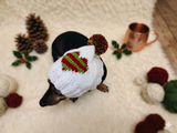 Christmas heart Dog Hat PomPom, Designer Pet Party Clothes outfit, Warm Winter knitted Dachshund cap with Pattern, gift for dogs lover