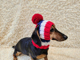Multi-Color Striped Dog Snood: Hand-Knit Pom-Pom Beanie for Dachshunds