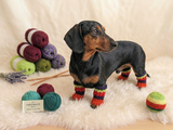 Leggings for dog cat set 4 pieces, leggings for dog,dog gaiters