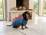Dachshund Dinosaur Hoodie – Warm Knitted Sweater for Small Dogs