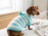 Knitted dachshund sweater with striped hood and pompom, hoodie for dachshund